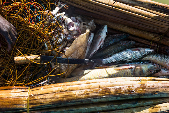 Angelika Berndt photography working in Ethiopia