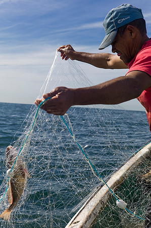 Rio's fishermen: Copacabana