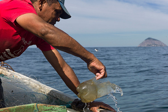 Rio's fishermen: Copacabana