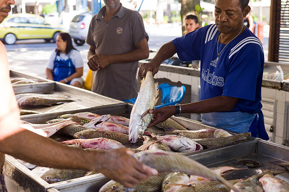 Rio's fishermen: Copacabana