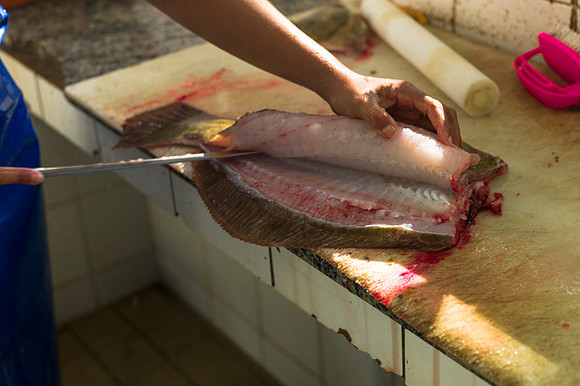 Rio's fishermen: Copacabana