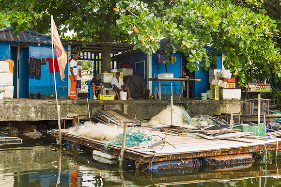 Rio's last fishermen. A story by Angelika Berndt.