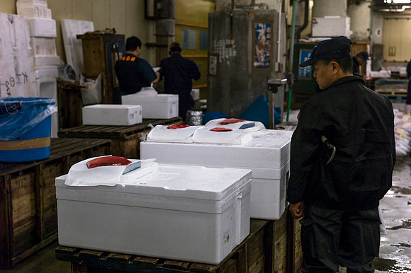 Tsukijii fishmarket Japan