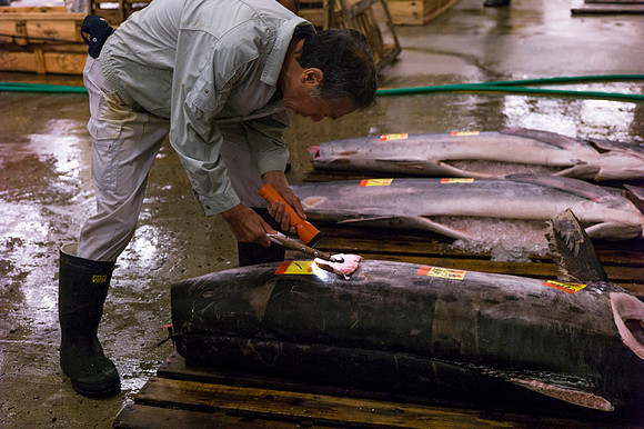 Tsukijii fishmarket Japan