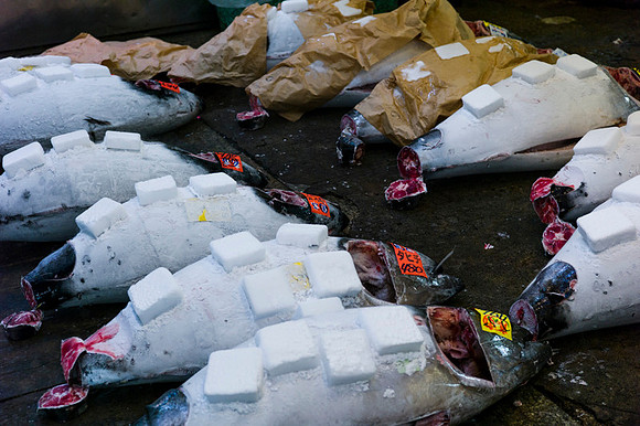 Tsukijii fishmarket Japan