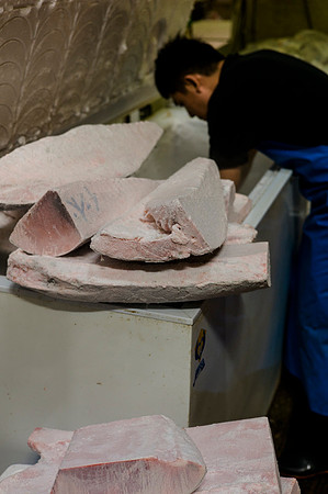 Tsukijii fishmarket Japan