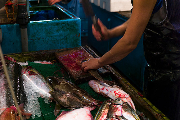 Tsukijii fishmarket Japan