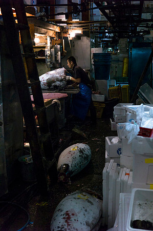 Tsukijii fishmarket Japan