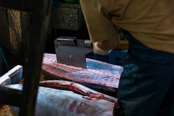 Tsukijii fishmarket Japan