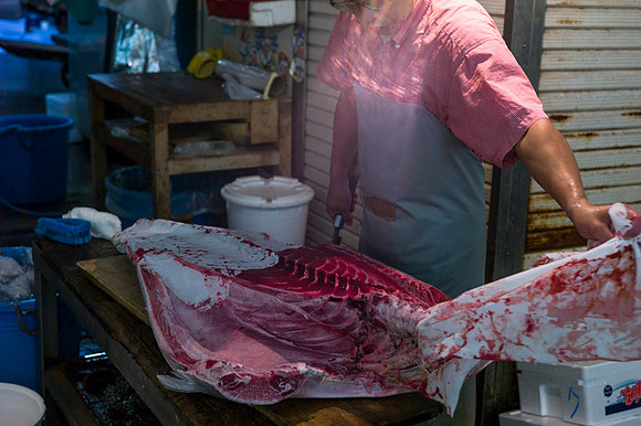 Tsukijii fishmarket Japan