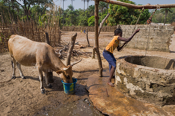 Life and medical aid in Buniadu, The Gambia, by Angelika Berndt photography.