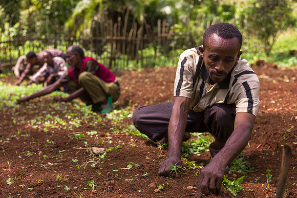Living in Kafa, Ethiopia. Angelika Berndt photography 2015.