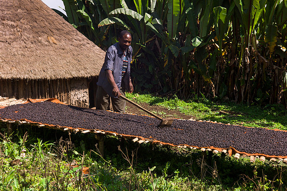 Living in Kafa, Ethiopia. Angelika Berndt photography 2015.