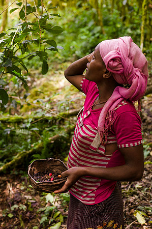 Living in Kafa, Ethiopia. Angelika Berndt photography 2015.