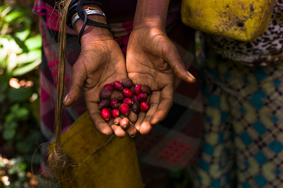Living in Kafa, Ethiopia. Angelika Berndt photography 2015.