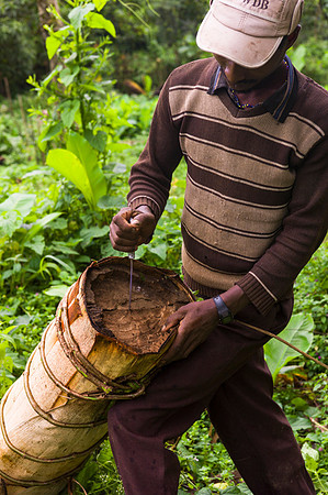 Living in Kafa, Ethiopia. Angelika Berndt photography 2015.