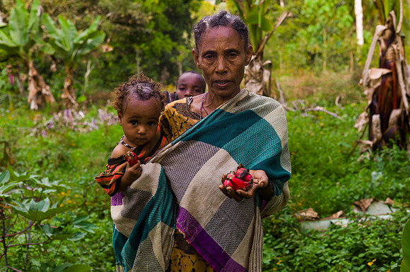 Living in Kafa, Ethiopia. Angelika Berndt photography 2015.