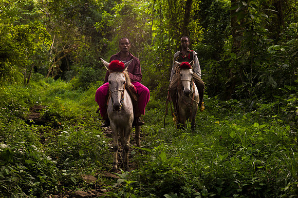 Living in Kafa, Ethiopia. Angelika Berndt photography 2015.