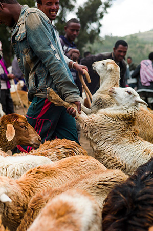 Live on the edge of society in Dessie, Ethiopia.