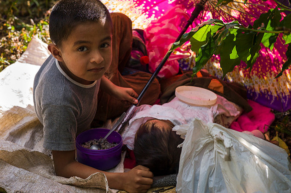 Coffee harvest in Costa Rica by Angelika Berndt photography.