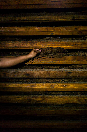 Tabacalera by Angelika Berndt photography.