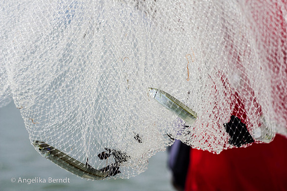 Fisherman fishing at the Pacific coast in Costa Rica